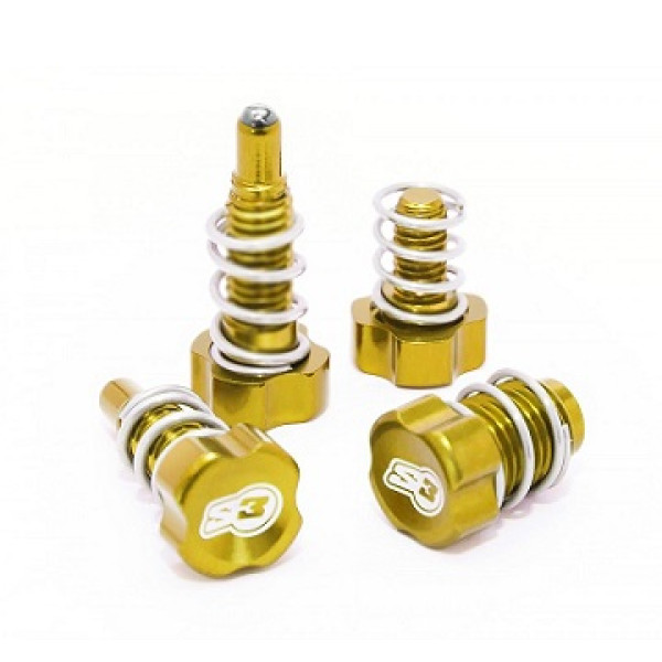 Kit Registri Leve S3 (AJP-BRAKTEC) ORO Kit Registri Leve S3 (AJP-BRAKTEC) ORO